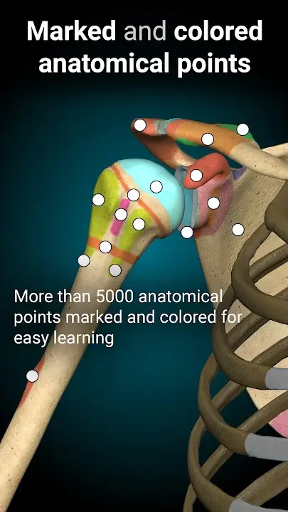 Anatomy Learning - 3D Anatomy mod apk 