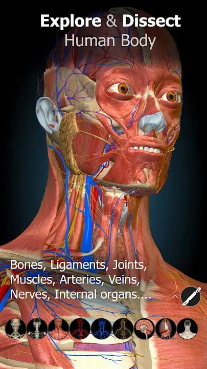 Anatomy Learning - 3D Anatomy mod apk 